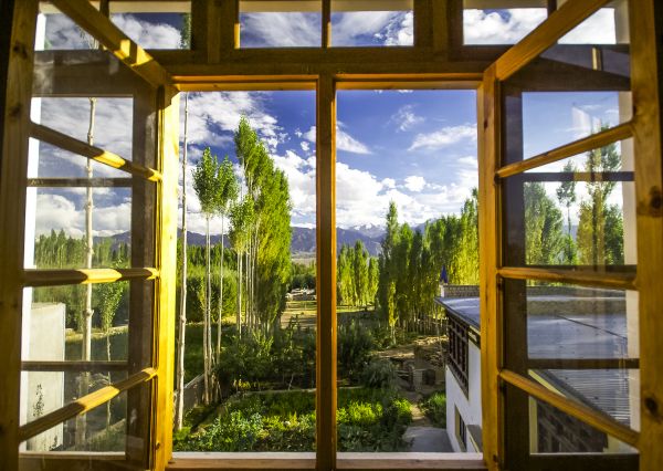 Cost of Wood Window Replacement in Clayton
